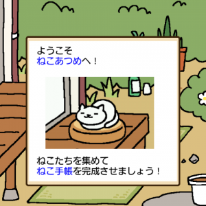 nekoatsume-3